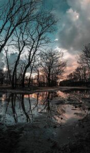 ain damous 1 bizerte blog etnafes