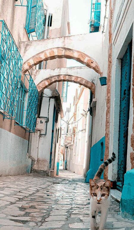 Bizerte 2 blog etnafes