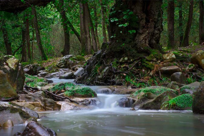 ecotourisme-blog-etnafes-1