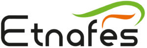logo etnafes couleur
