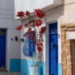 medina bizerte blog etnafes