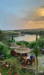 metline 1 bizerte blog etnafes