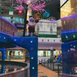 Tourisme Ariana Tunisie : Nature Enchantée et Urbanité Dynamique 17 Tourisme Ariana Tunisie Blog Etnafes