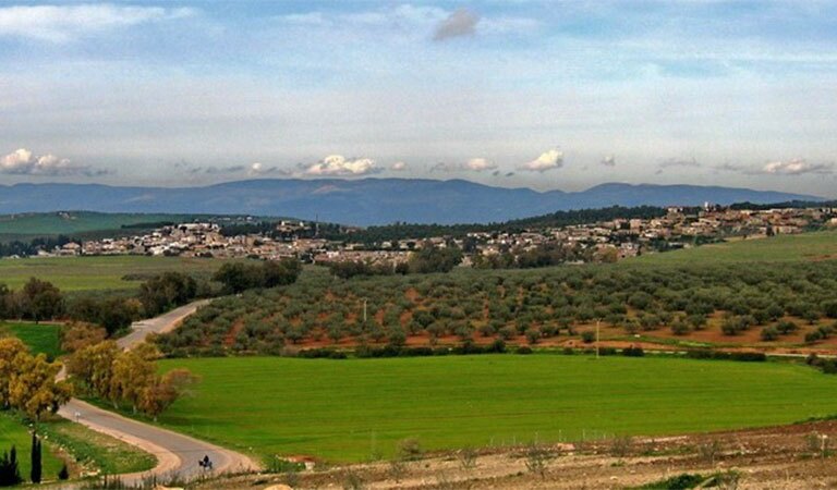 Tourisme à Jendouba : Aventure Authentique au Nord-Ouest Tunisien 61 Agriculture Jendouba Nature Blog Etnafes Tourisme à Jendouba