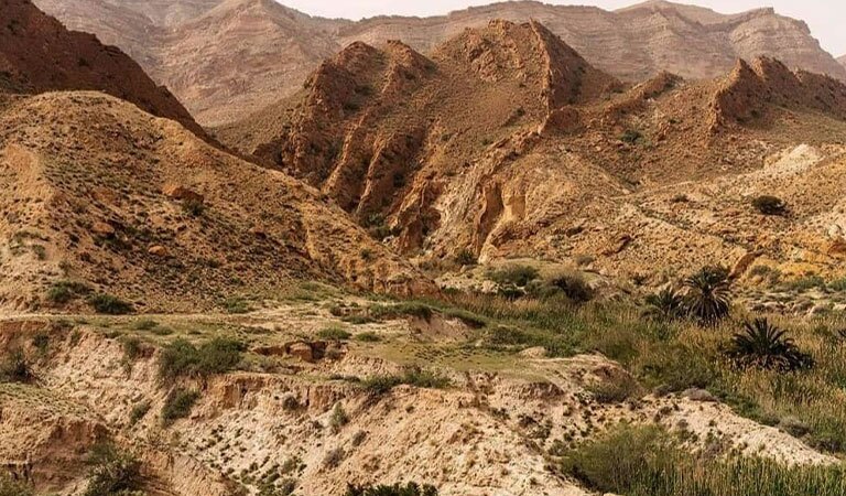 Tourisme à Sidi Bouzid : 8 Itinéraires pour Explorer Authentique en Tunisie 120 Bouhedma-Sidi-Bouzid-Tunisie-Blog-Etnafes