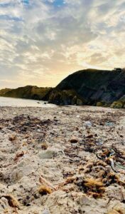 Tourisme Monastir Tunisie : douceur de sahel 46 Tourisme Monastir Plage Tunisie 1 Blog Etnafes