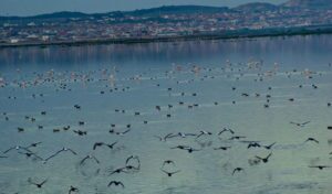 La Manouba : Une Évasion Culturelle Entre Tradition et Modernité 35 Sebkha Sijoumi La Manouba Tunisie Blog Etnafes