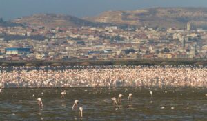 La Manouba : Une Évasion Culturelle Entre Tradition et Modernité 37 Sebkha Sijoumi La Manouba Tunisie Blog Etnafes