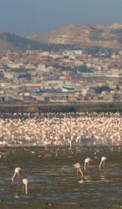 La Manouba : Une Évasion Culturelle Entre Tradition et Modernité 41 Sebkha Sijoumi La Manouba Tunisie Blog Etnafes