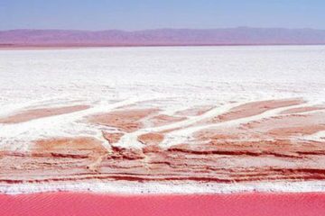 Tourisme Tozeur Tunisie : Aventure dans l'Oasis Sud