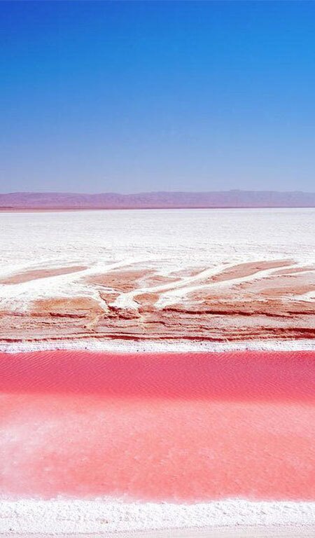Tourisme Tozeur Tunisie : Aventure dans l'Oasis Sud 285 TOZEUR-TUNISIA-Chott-el-Djerid-Blog-Etnafes