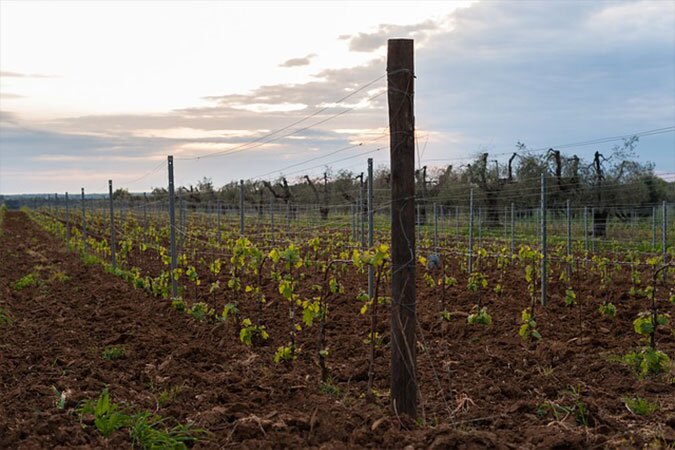 agrotourisme-6-blog-etnafes