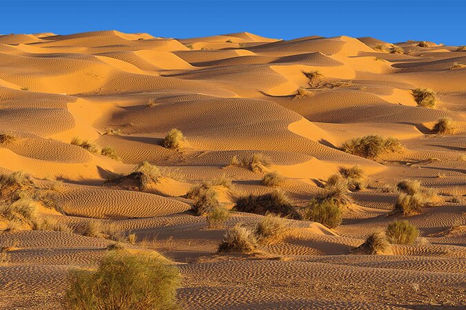 Tourisme-desertique-blog-etnafes-2
