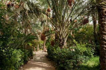 Tourisme Rural en Tunisie 4 Tourisme Rural en Tunisie