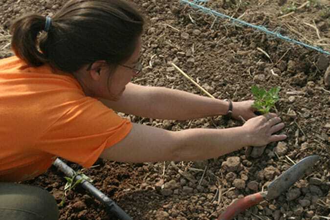 wwoofing blog etnafes 15