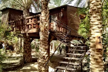 Maison d'hôte Tozeur : Diar Abou Habibi