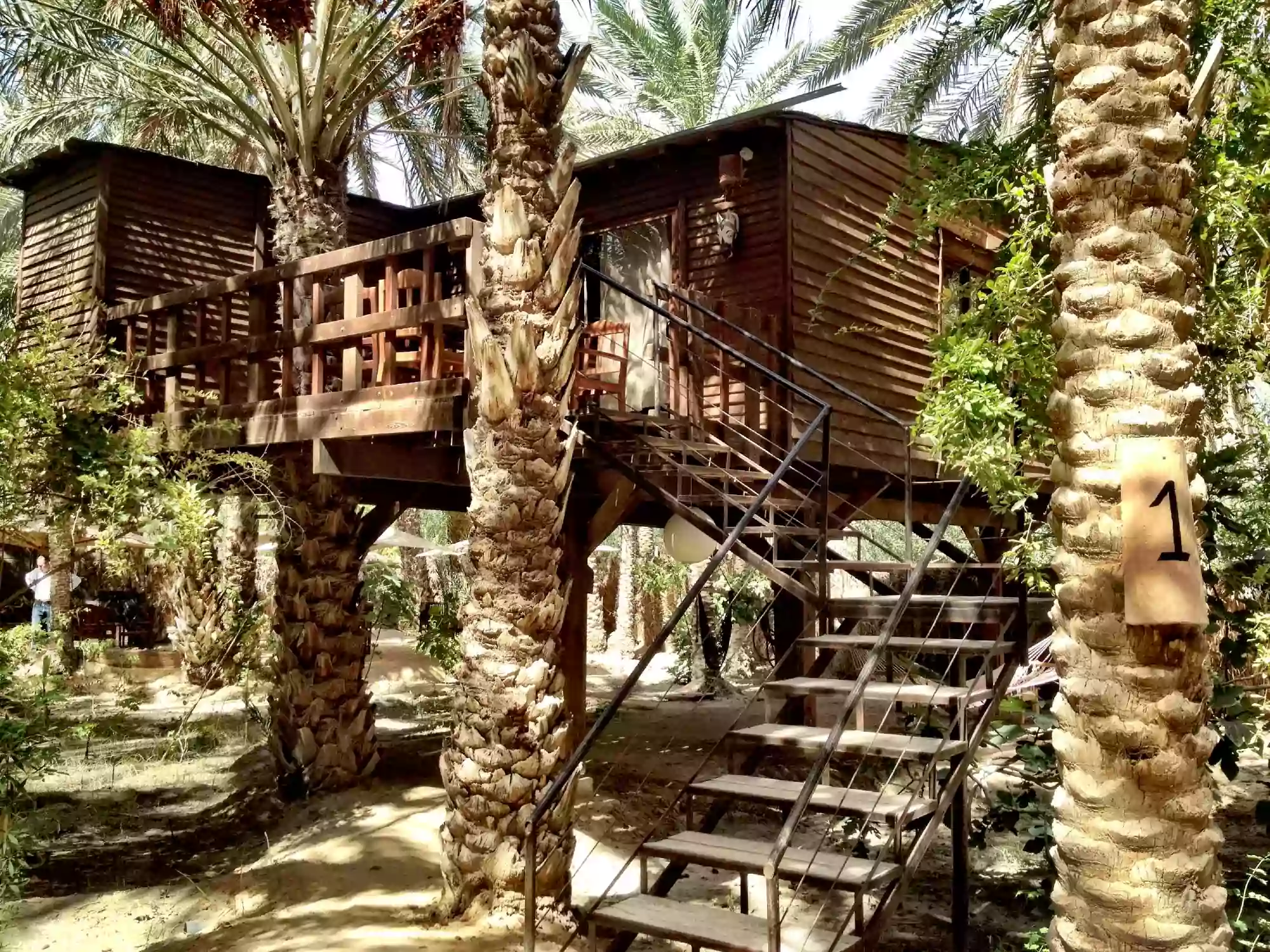 Maison-d-hôte-Tozeur-1-blog-etnafes