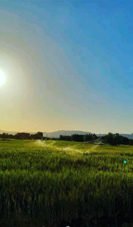 Essouk El Jadid Sidi Bouzid Tunisie 1 Blog Etnafes