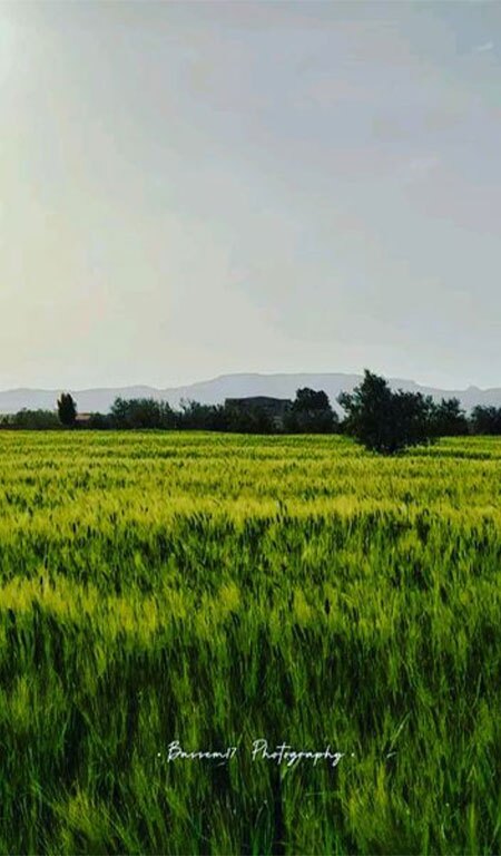 Essouk El Jadid Sidi Bouzid Tunisie 3 Blog Etnafes