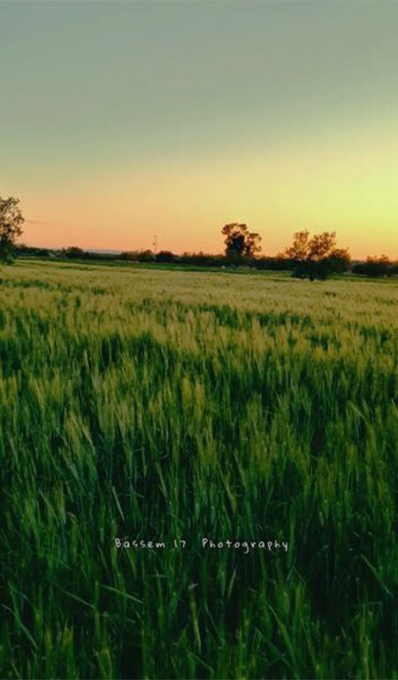 Essouk El Jadid Sidi Bouzid Tunisie 4 Blog Etnafes