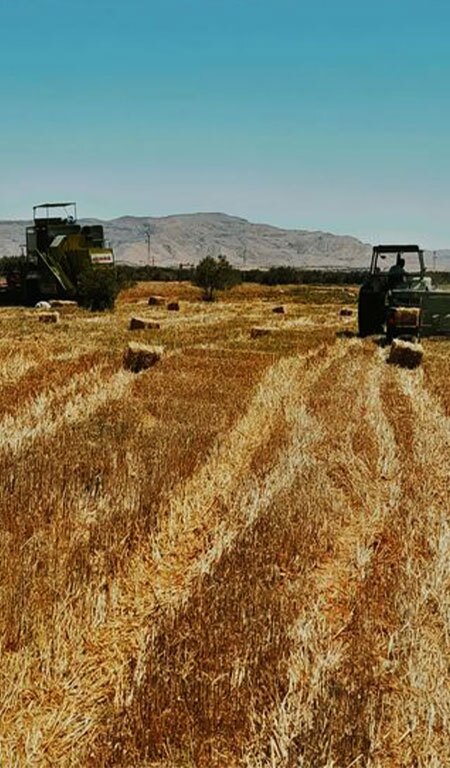 Sidi Bouzid Tunisie 2 Blog Etnafes