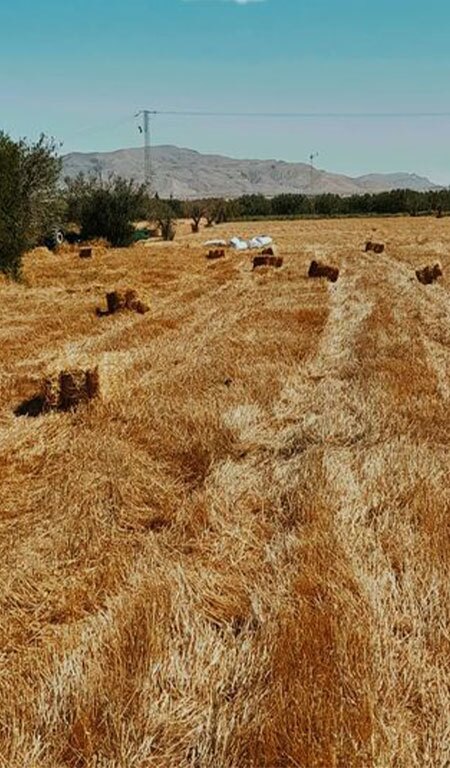 Sidi Bouzid Tunisie Blog Etnafes