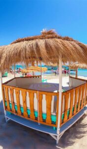 flamingo-coucou-beach-3-bizerte-blog-etnafes