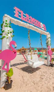 flamingo-coucou-beach-bizerte-blog-etnafes
