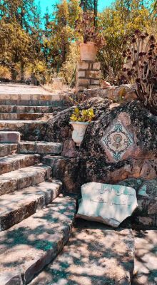 Tourisme à Jendouba : Aventure Authentique au Nord-Ouest Tunisien 47 Aïn Draham Nature Jendouba Tunisie Blog Etnafes