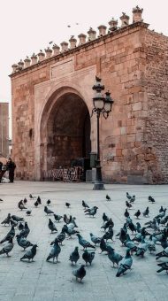 Tunis : Une Immersion Culturelle Unique 21 Bab-Bhar-Tunis-1-Blog-Etnafes