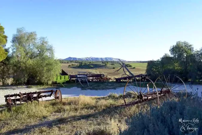 Dar El Henchir-etnafes-kairouan (3)