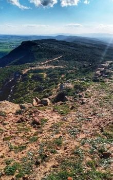 Meilleur Destination Nabeul en Tunisie 78 Tourisme à Djebel Sidi Latrach Nabeul 4 Tunisie Blog Etnafes