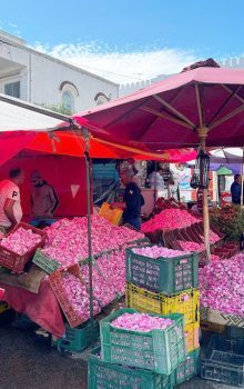 Meilleur Destination Nabeul en Tunisie 100 Tourisme à Nabeul Eau de Rose Nabeul Blog Etnafes