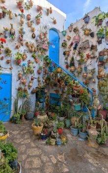 Meilleur Destination Nabeul en Tunisie 61 Tourisme à Hammamet Nabeul 3 Tunisie Blog Etnafes