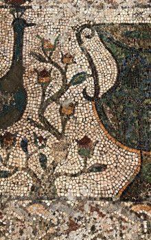 Tourisme à Jendouba : Aventure Authentique au Nord-Ouest Tunisien 67 Les vestiges de Bulla Regia Jendouba Mosaïques Tunisie Blog Etnafes