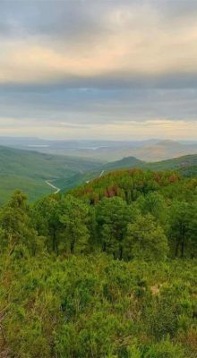 Tourisme à Jendouba : Aventure Authentique au Nord-Ouest Tunisien 50 Nature Tabarka Jendouba Blog Etnafes