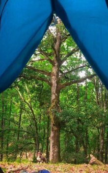 Tourisme à Jendouba : Aventure Authentique au Nord-Ouest Tunisien 74 Oued Zin Jendouba Camping Blog Etnafes