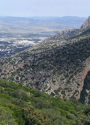 Tourisme à Kasserine Parc national de Jebel Mghilla Kasserine Tunisie Blog Etnafes