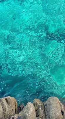 Tourisme à Jendouba : Aventure Authentique au Nord-Ouest Tunisien 58 Plage Tabarka Tunisie Jendouba Blog Etnafes