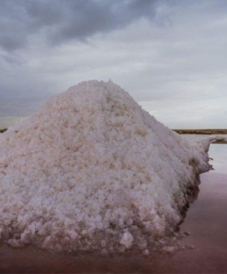 Tourisme à Sfax Tunisie : 7 raisons de découvrir cette destination authentique 65 Salines-de-Thyna-Sfax-Tunisie-Blog-Etnafes