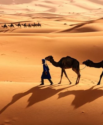 Tourisme-Tozeur-Tunisie-3-blog-etnafes