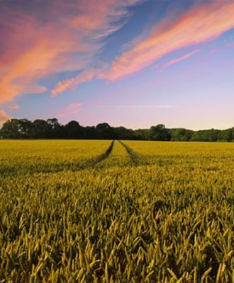 L'agrotourisme en Tunisie