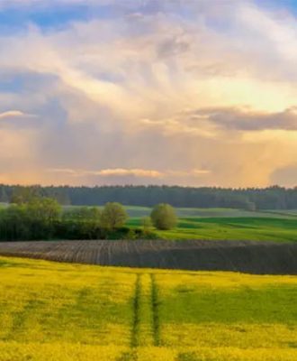 L'agrotourisme en Tunisie