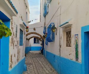 bizerte 11 blog etnafes