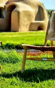 Dar Beya Eco-Dôme : L'Évasion Écologique 9 Dar Beya Eco-Dôme : L'Évasion Écologique