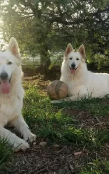 Dar Beya Eco-Dôme : L'Évasion Écologique 7 Dar Beya Eco-Dôme : L'Évasion Écologique