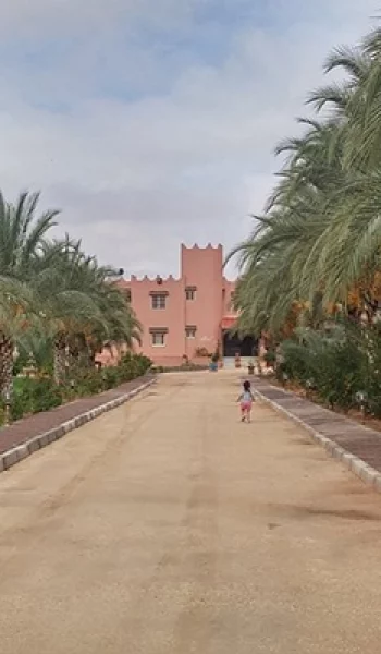 Dar El Ferdaous à Gabès : Maison d’Hôte Authentique au Cœur du Sud Tunisien 11 dar el ferdaous -blog-etnafes