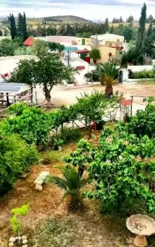 Dar Sidi Abdallah: Maison d’hôte au Kef, Gîte Rural Authentique et Expérience Unique 6 dar-sidi-abdallah-etnafes