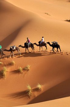 Tourisme Communautaire en Tunisie 43 Tourisme désertique blog etnafes 4