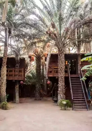 Maison-d-hôte-Tozeur Maisons d’hôtes écologiques en Tunisie